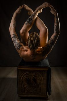 Sandra 240424239